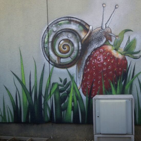 Screenshot_20251105_180600_Instagram